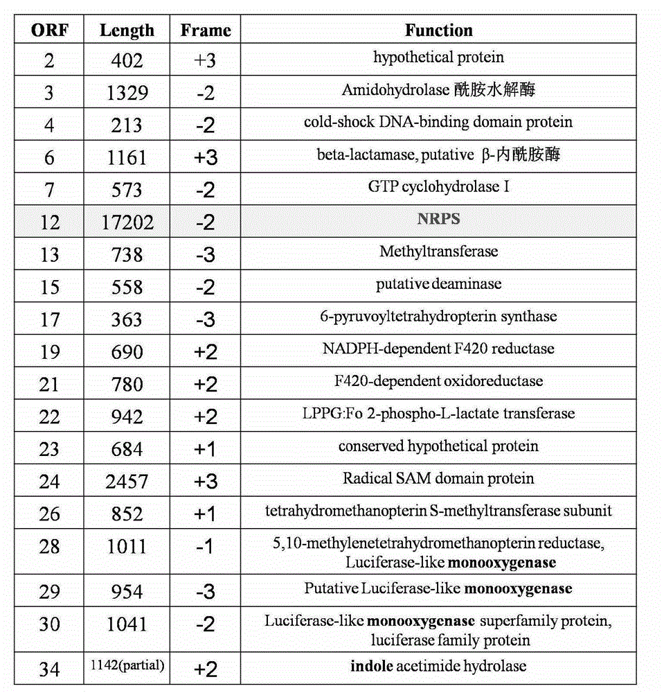 Novel non-ribosomal peptide synthetase gene and cloning and expression of adenylylation structural domains thereof