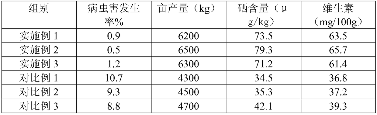 Selenium-rich ananas comosus high-quality and high-yield cultivation method