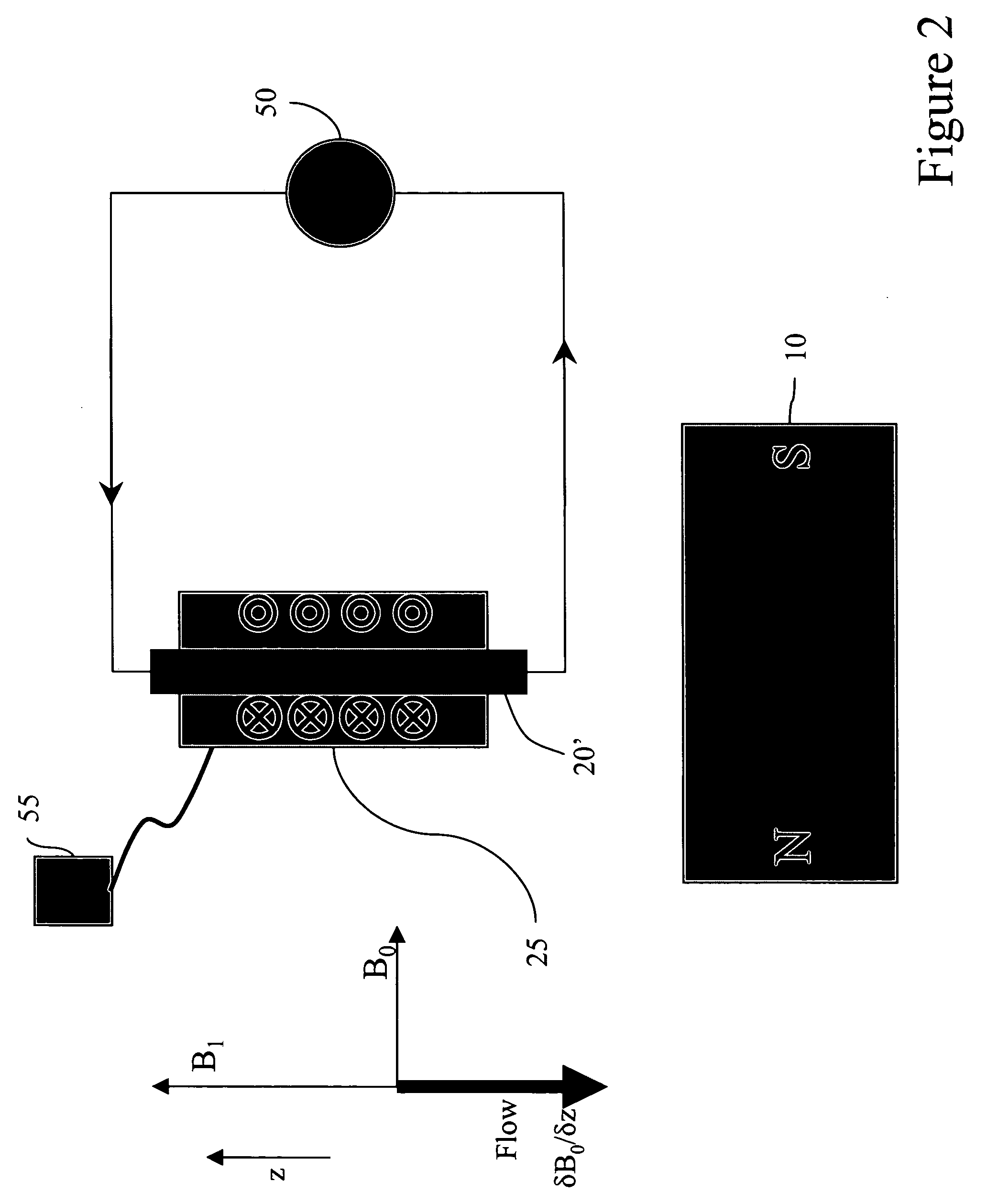 Downhole NMR flow and formation characterization while sampling fluids