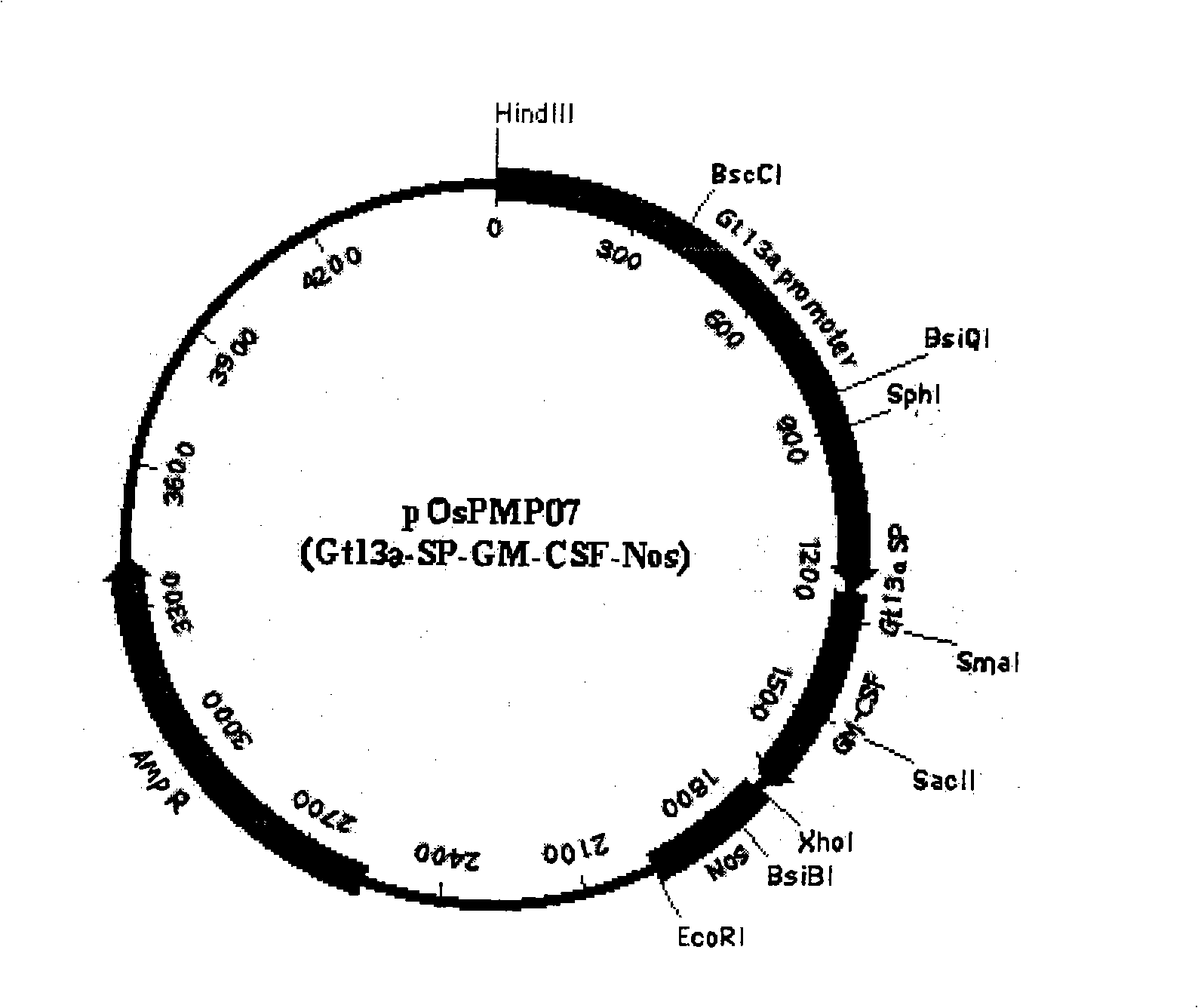 Method for preparation of transgenic rice preparation and use thereof