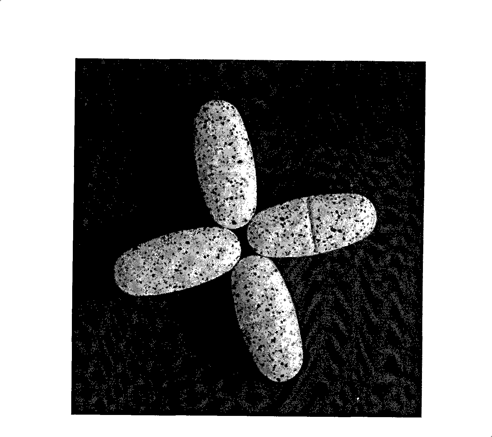 Method for preparation of transgenic rice preparation and use thereof