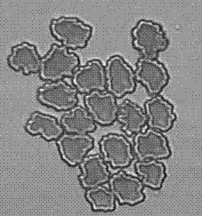 Superfine viscose fiber and preparation method thereof