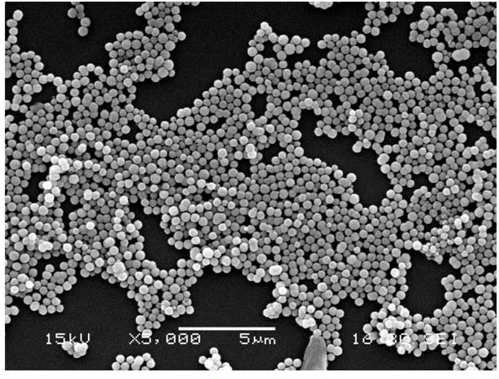 Magnetic core-shell Fenton-type catalyst, and preparation method and application of catalyst