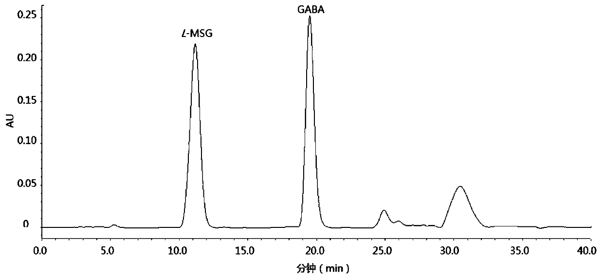 Method for preparing Pixian thick broad-bean sauce rich in gamma-aminobutyric acid