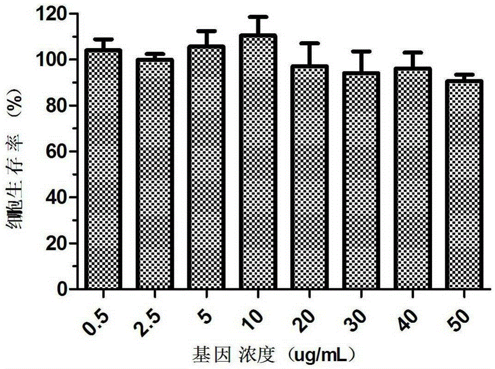 A novel hybrid nano calcium phosphate gene delivery system and its preparation method