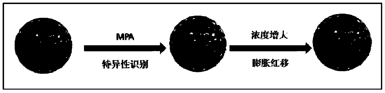 A photonic crystal hydrogel microsphere for rapid detection of pesticides, toxins and nanoparticles and its preparation method and application