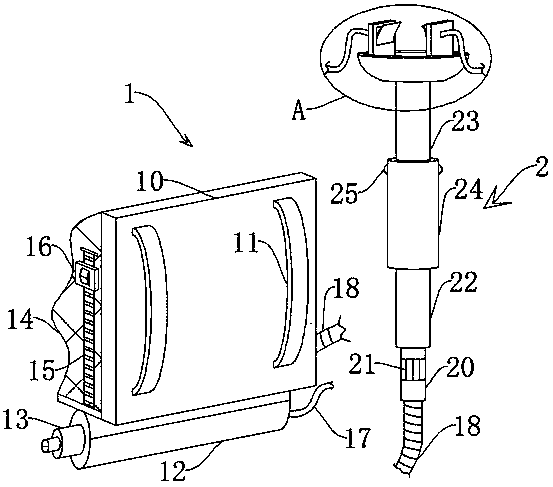 Portable damage-free pecan picking device