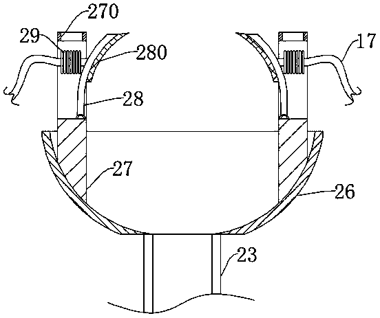 Portable damage-free pecan picking device