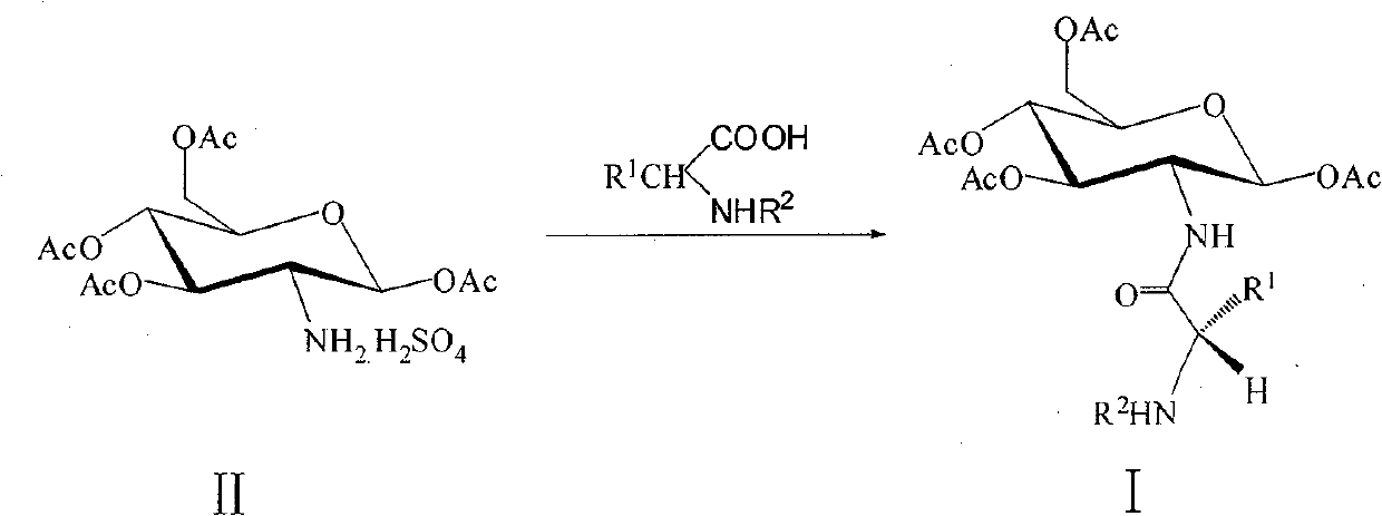 Amino acid modified glucosamine as well as preparation method and application thereof