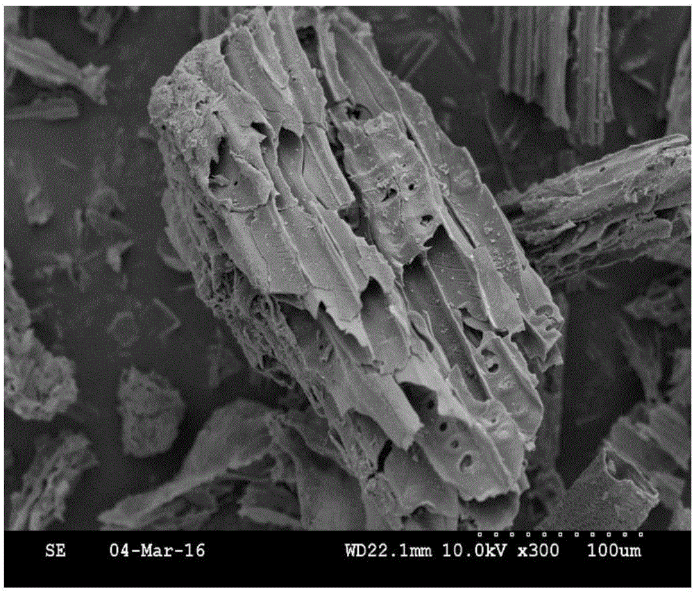 Treating method for recycling waste of breeding industry