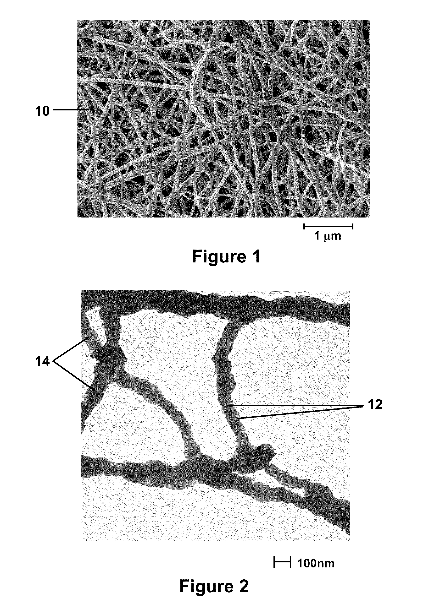 Nanofibers And Methods For Making The Same