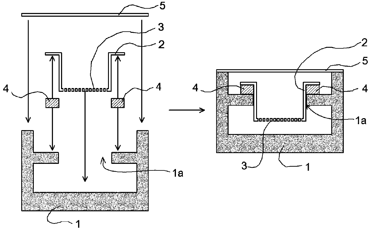 Co-culture device and co-culture method for bacterium such as anaerobic bacterium and epithelial cells