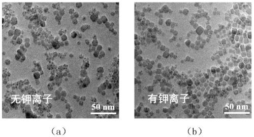 Perovskite nanocrystalline with alkali metal ion passivated surface defects as well as preparation and application of perovskite nanocrystalline