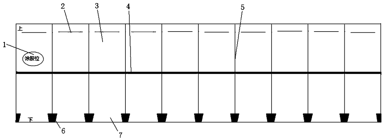 Method for releasing mixed trichogramma species to prevent and control european corn borers and cotton bollworms