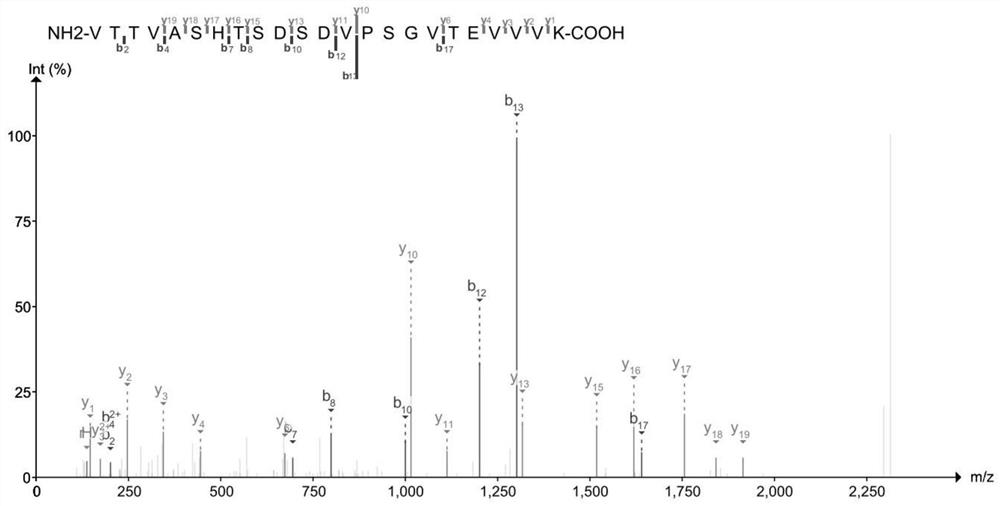 Skin aging protein marker-CLUS protein and non-invasive extraction method thereof