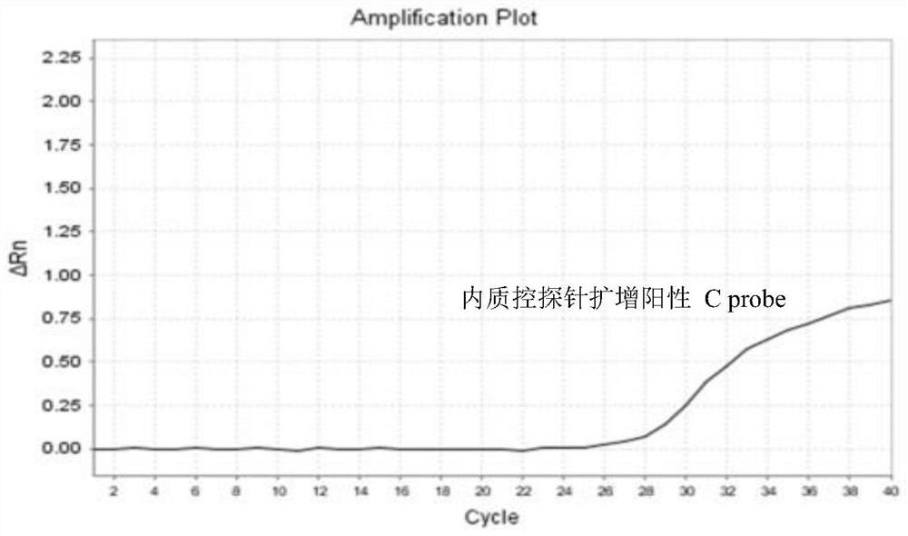 One-tube nested real-time quantitative PCR detection kit for micro-sample typing and detection of Echinococcus multilocularis and Echinococcus granulosus