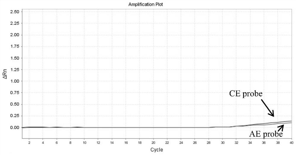 One-tube nested real-time quantitative PCR detection kit for micro-sample typing and detection of Echinococcus multilocularis and Echinococcus granulosus