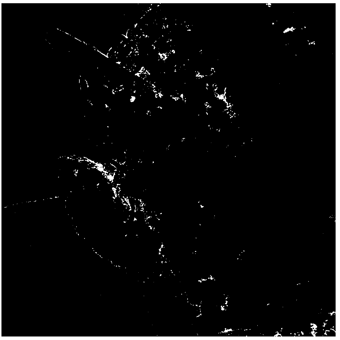 Carbon-coated NiPx nanometer composite electrode material with monodisperse structure characteristic, and preparation method thereof