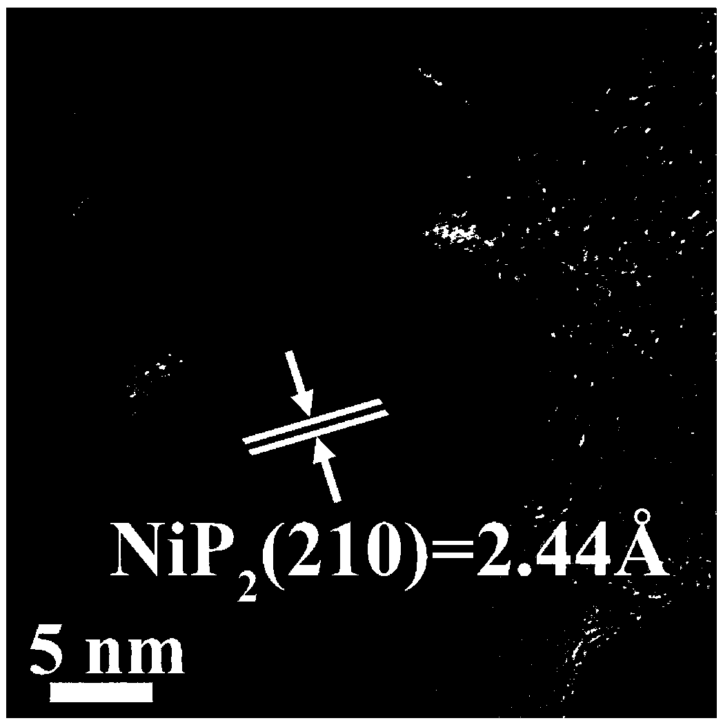 Carbon-coated NiPx nanometer composite electrode material with monodisperse structure characteristic, and preparation method thereof