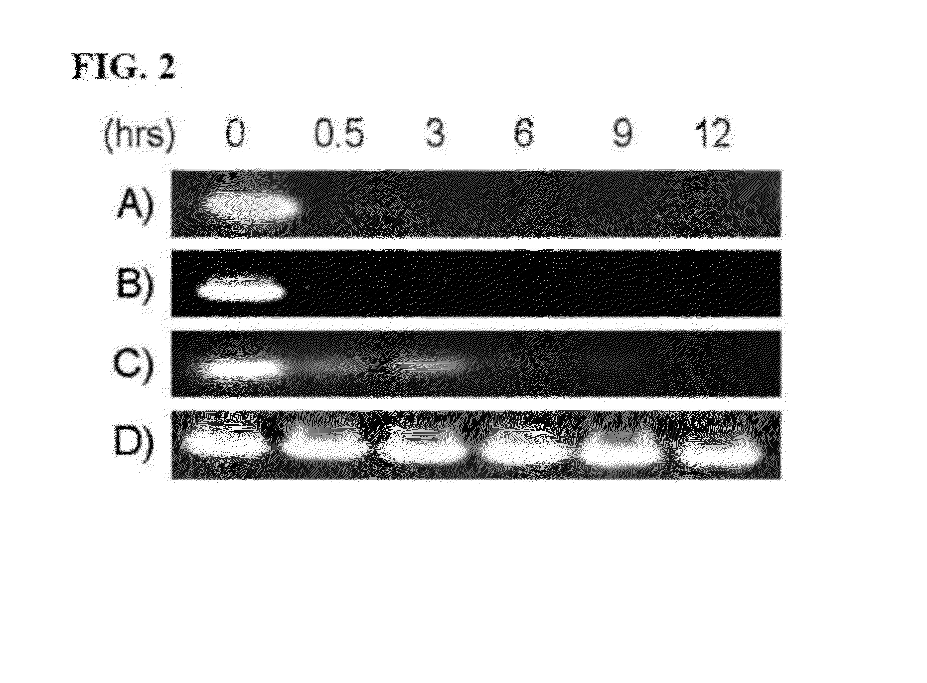 Use of HGMA-targeted phosphorothioate DNA aptamers to suppress carcinogenic activity and increase sensitivity to chemotherapy agents in human cancer cells