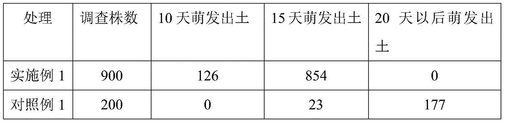 Seedling growing method for increasing robinia pseudoacacia grafting survival rates