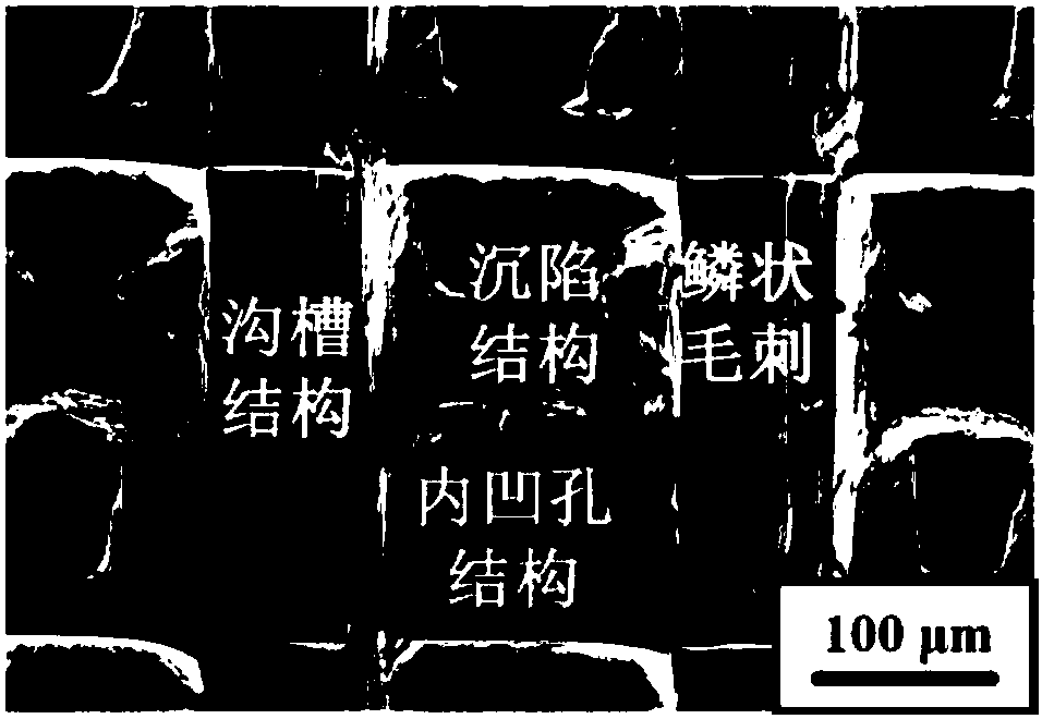 Composite microstructure current collector for lithium ion battery and preparation method of composite microstructure current collector