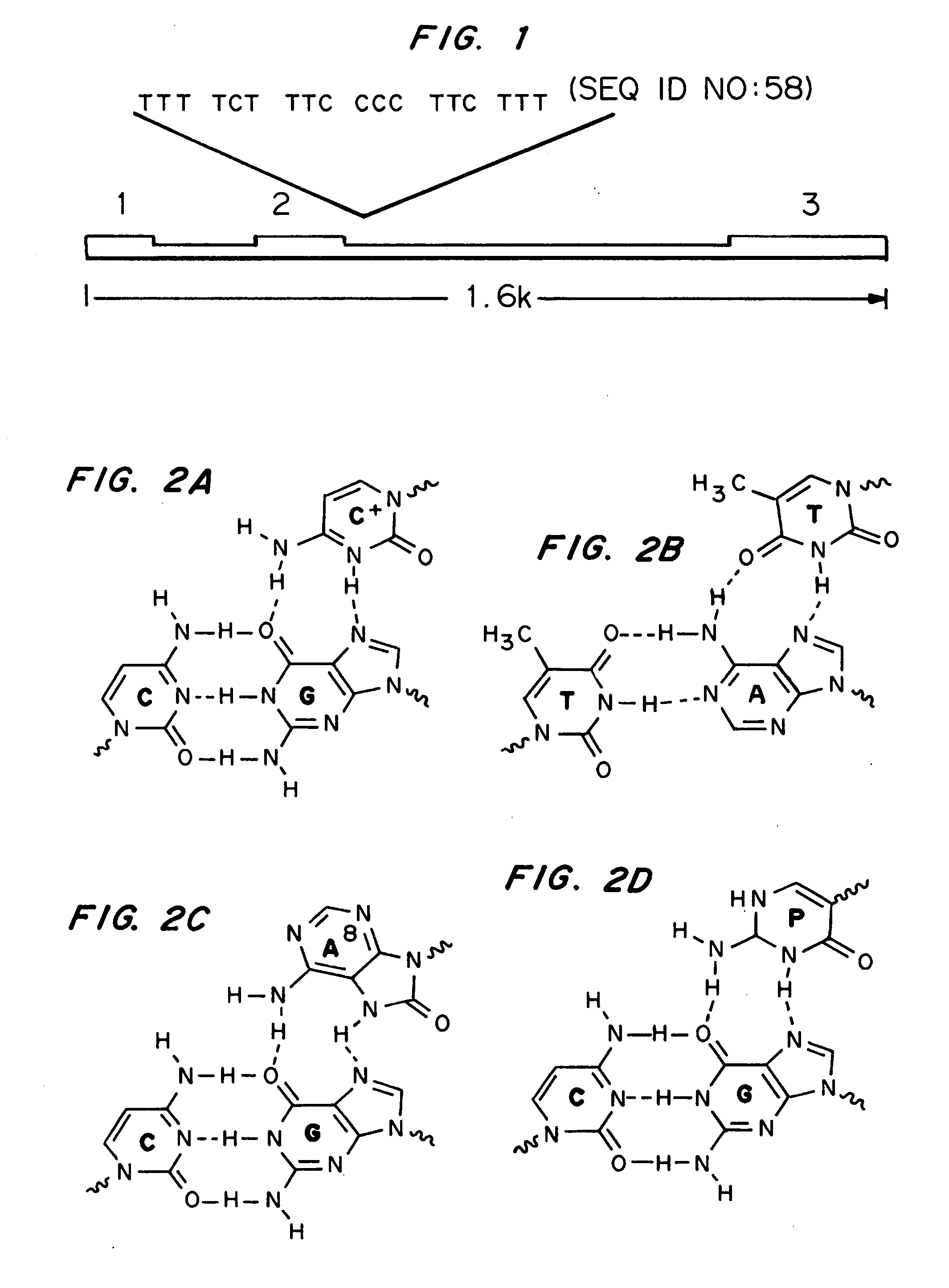 Modified triple-helix forming oligonucleotides for targeted mutagenesis