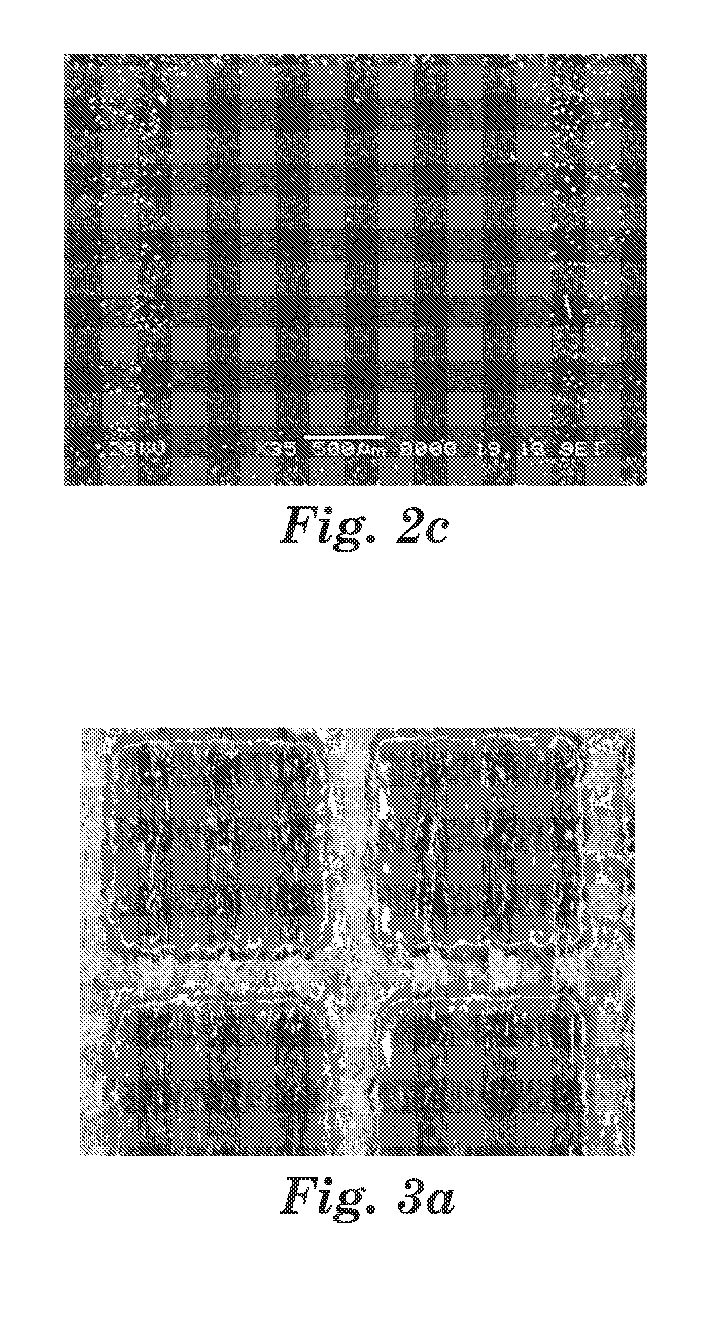 Electromagnetic wave shielding gasket having elasticity and adhesiveness