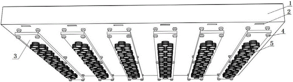 Light supply system for plant growth