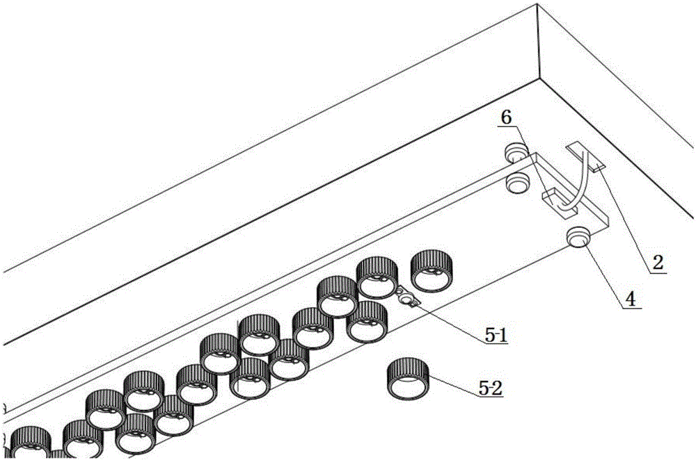 Light supply system for plant growth