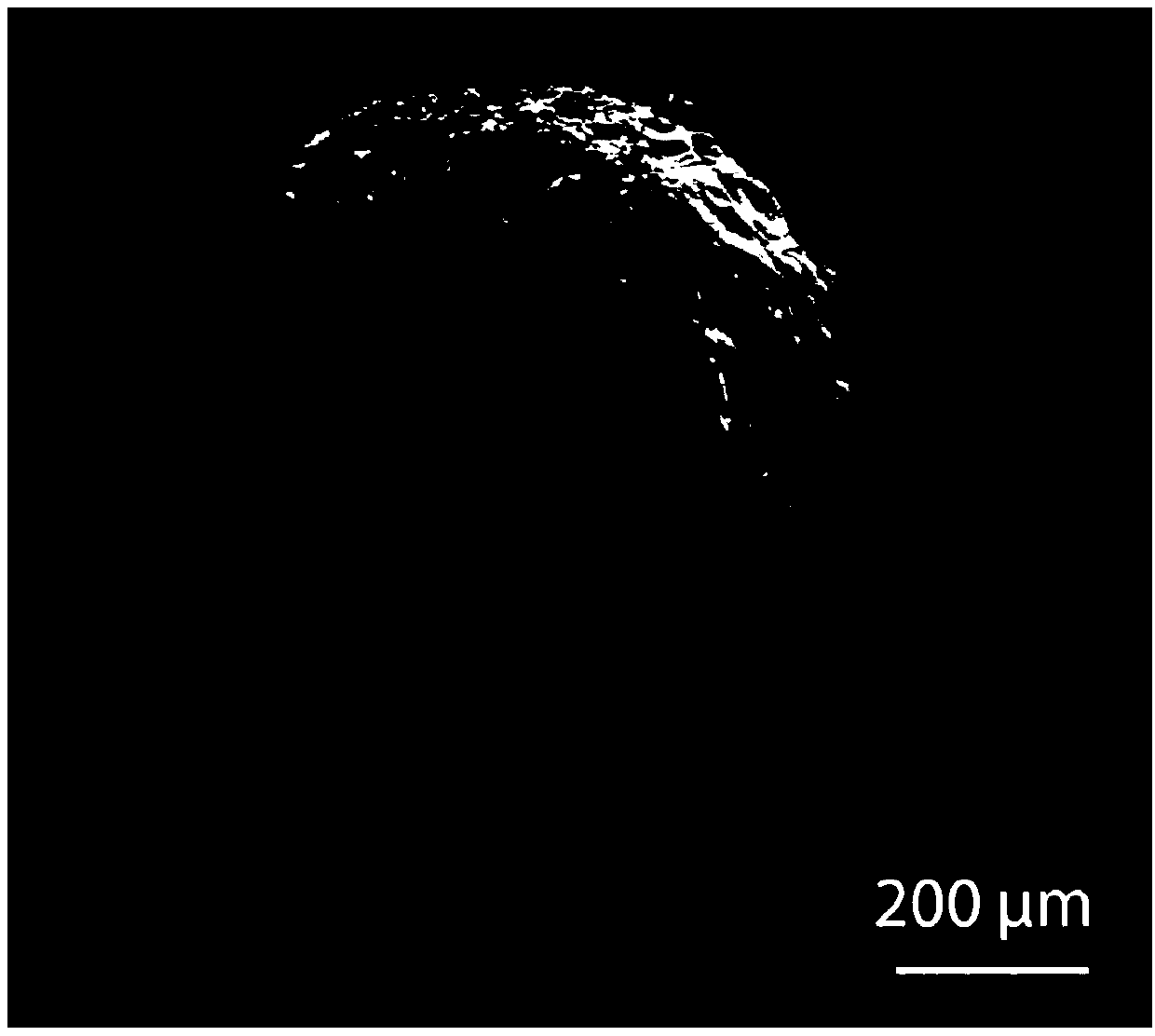 Preparation method, product and application of ultraviolet-proof porous fiber with oriented pore structure