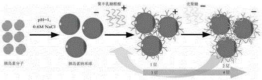 Preparing method and application of oral insulin transport system in layer-by-layer self-assembly structure