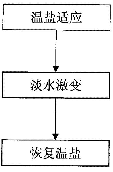 Sterilization method for squid larva