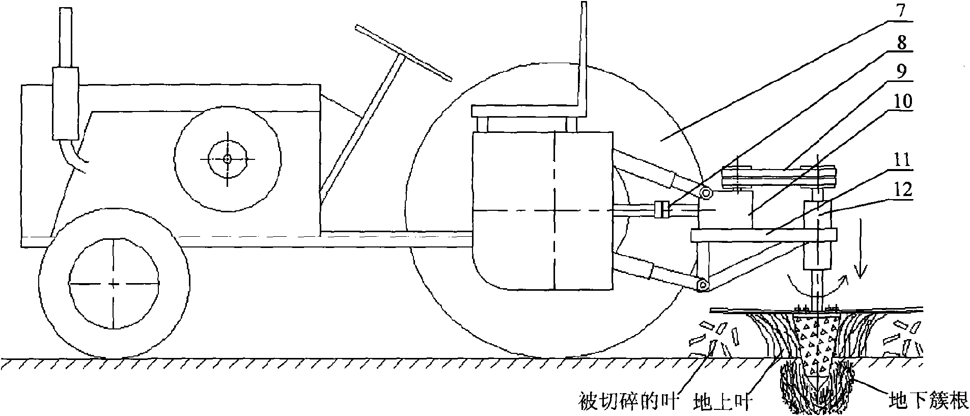 Device for removing leaves and crushing roots of iris lactea