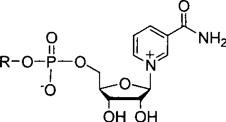 NAD+ analogue, as well as synthesis and use thereof