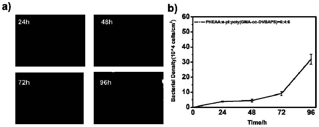 Method for constructing antifouling-sterilizing-releasing type surface coating by utilizing dopamine and product thereof