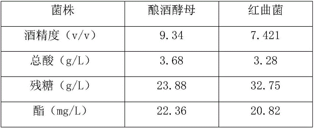 Monascus fruit wine and preparation method thereof