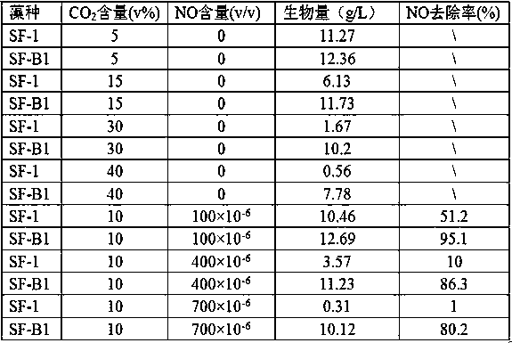 Lipid-rich chlorella and culture application thereof