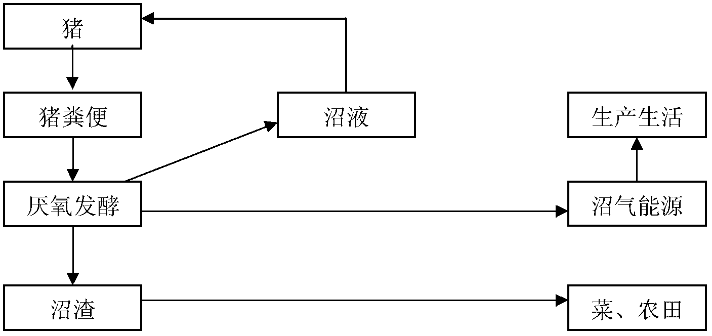 Production method for circular modern high-efficiency agriculture