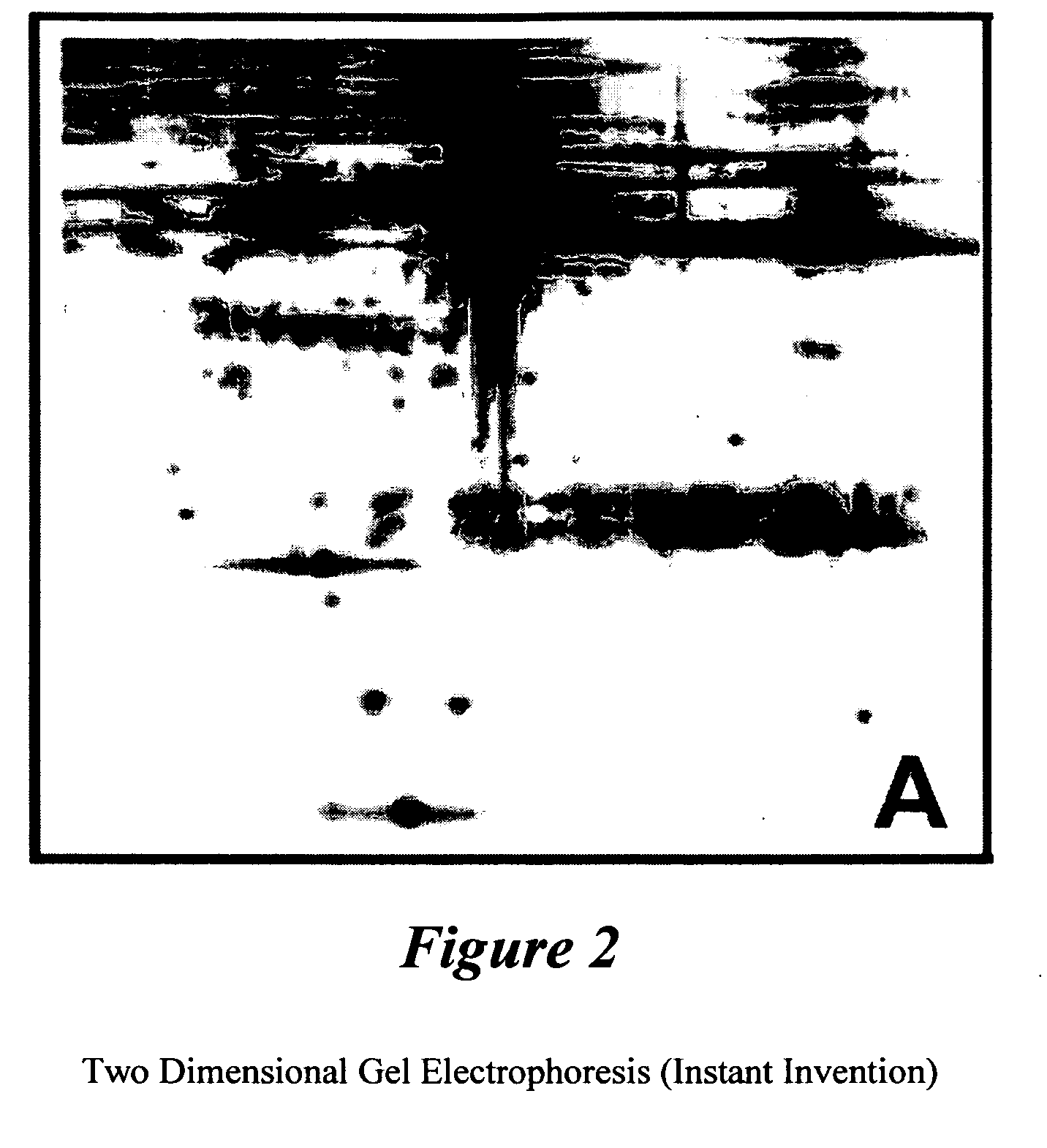 Biological tissue regenerative agent and method for preparing and using same