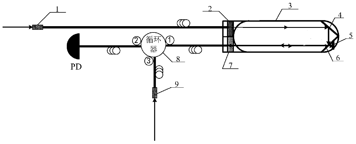 In vivo electric field measuring device based on quantum coherence effect