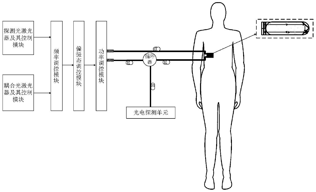 In vivo electric field measuring device based on quantum coherence effect