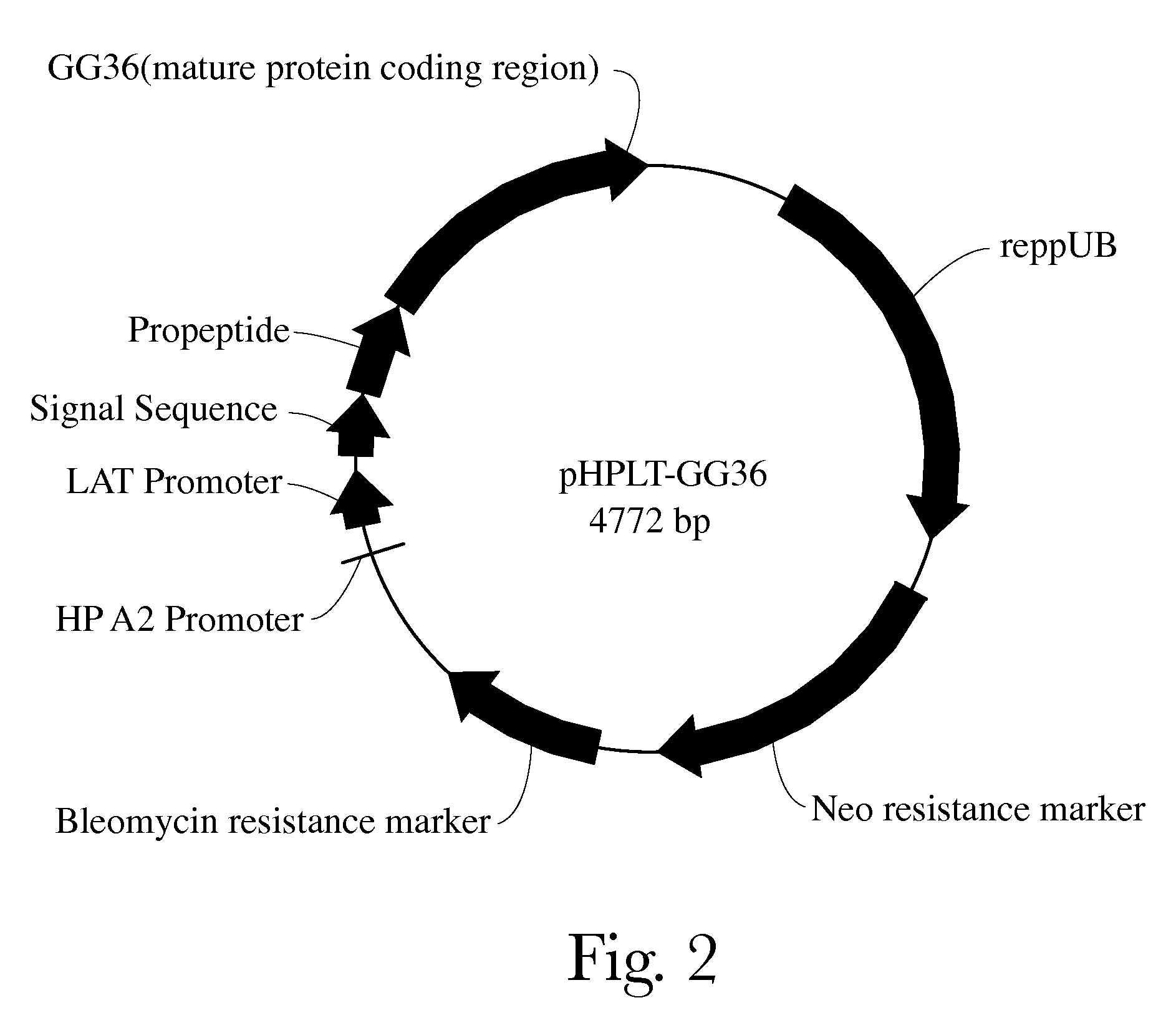 Automatic dishwashing detergent composition