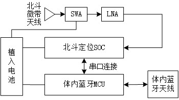 Semi-implantable Beidou positioning module and Beidou positioning communication system