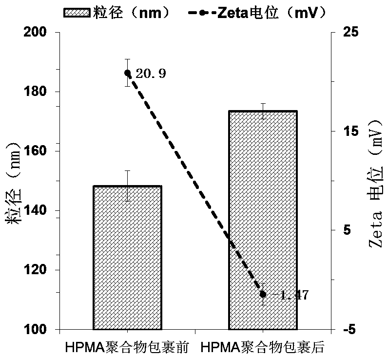 A kind of nanoparticle based on n-(2-hydroxypropyl) methacrylamide polymer and preparation method thereof