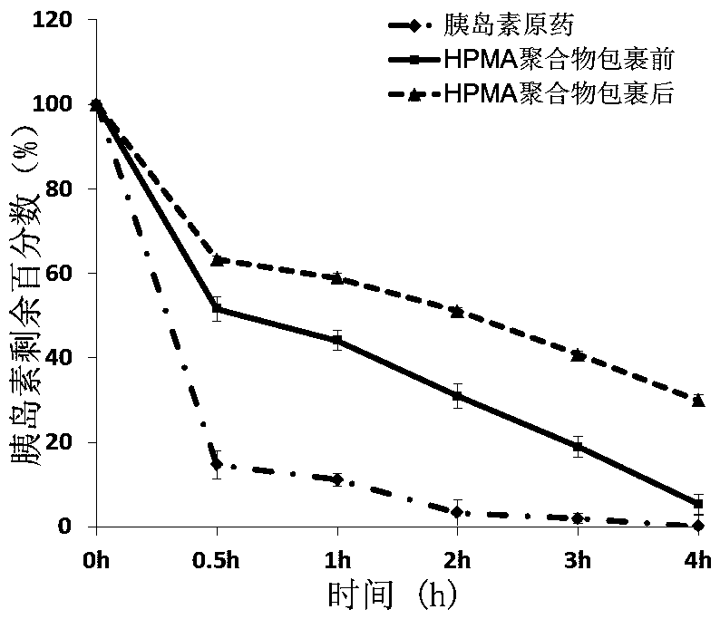 A kind of nanoparticle based on n-(2-hydroxypropyl) methacrylamide polymer and preparation method thereof