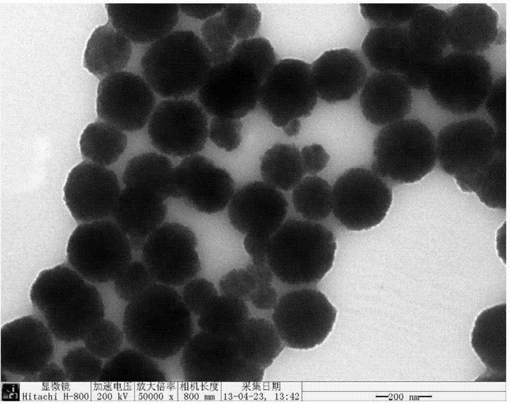 Renewable magnetic immobilized enzyme carrier and preparation method thereof