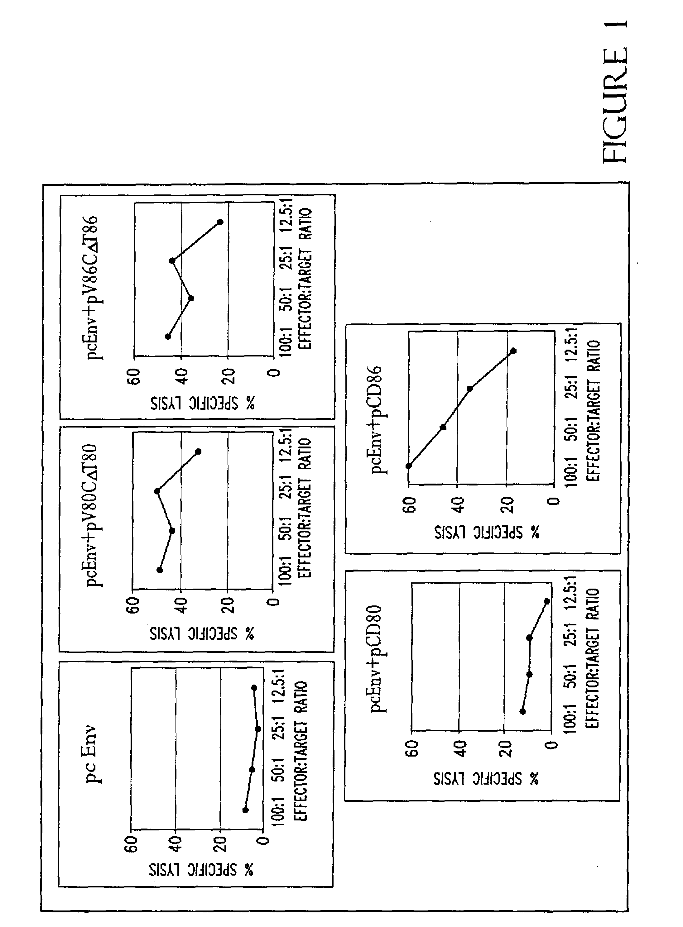 Mutant human cd80 and compositions for and methods of making and using the same