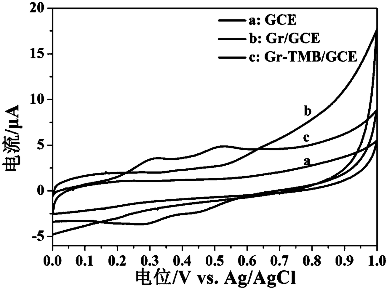 Working electrode capable of selectively detecting silver ions and electrochemical sensor