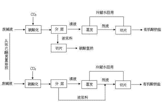 Method for recovering sodium bicarbonate and organic acid sodium salt from cyclohexanone waste alkali solution